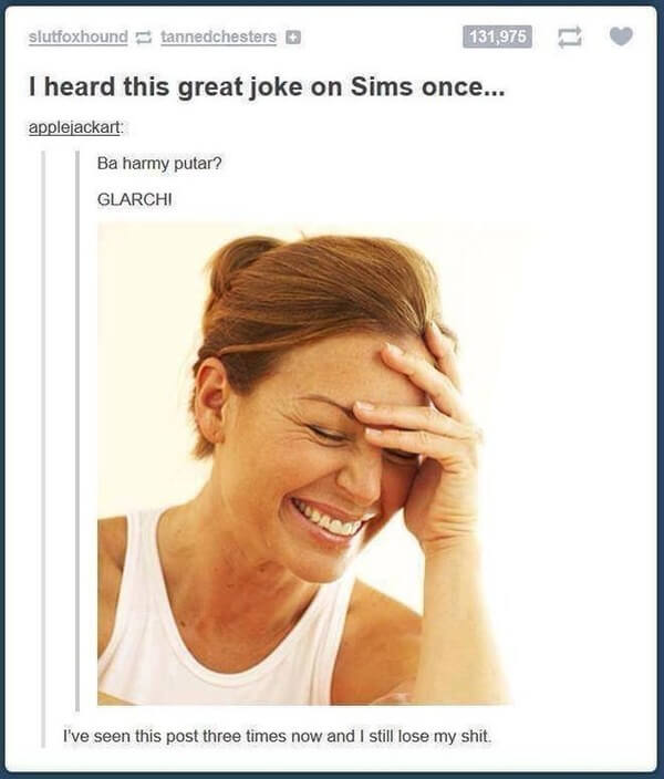 sims is hilarious 7