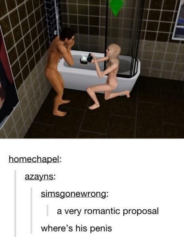sims is hilarious 16