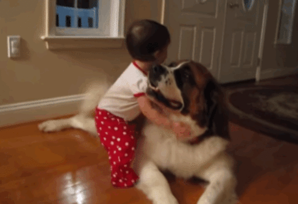 dogs do anything to make kids happy 9