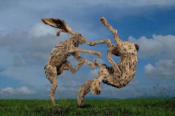 drifted wood turned into animal sculptures 7