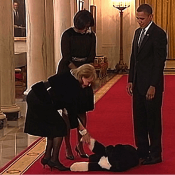 obama's dog pictures 9