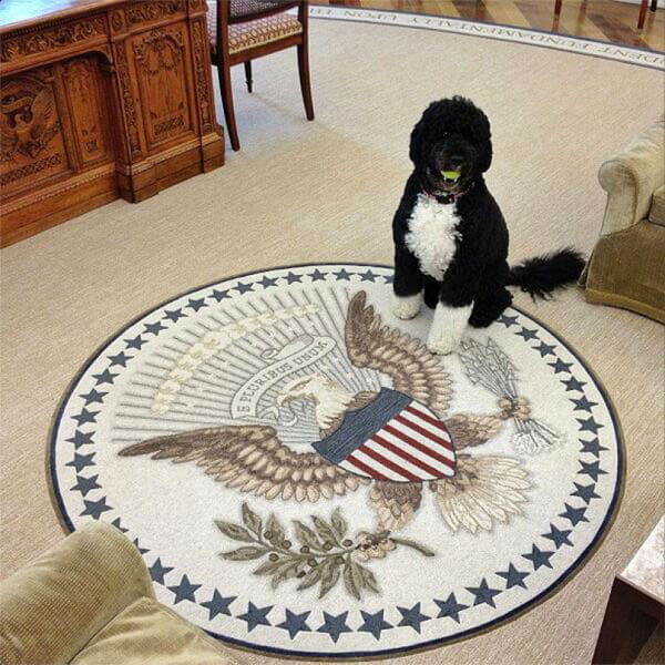 obama's dog pictures 11