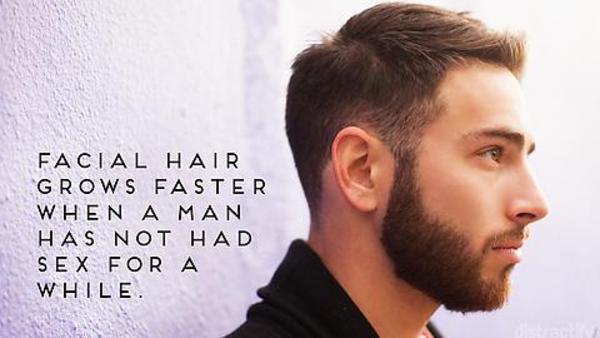 Beard Facts 1