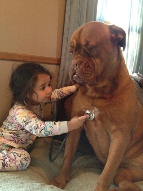 dogs do anything to make kids happy 10