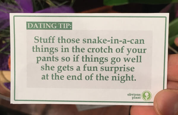 online dating advice card game