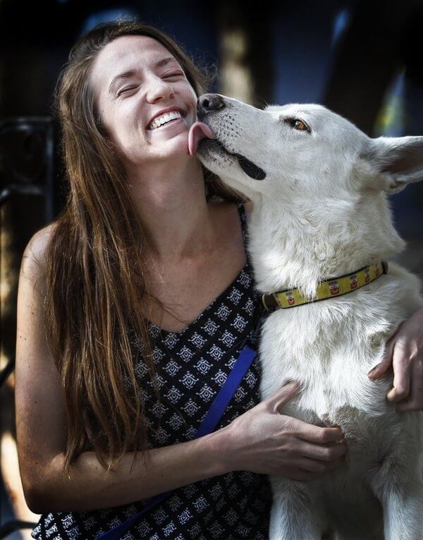 dog reunited with care mother 3