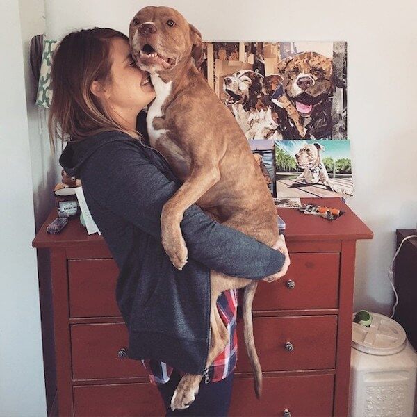 Pit Bull Gets A Foster Puppy 4