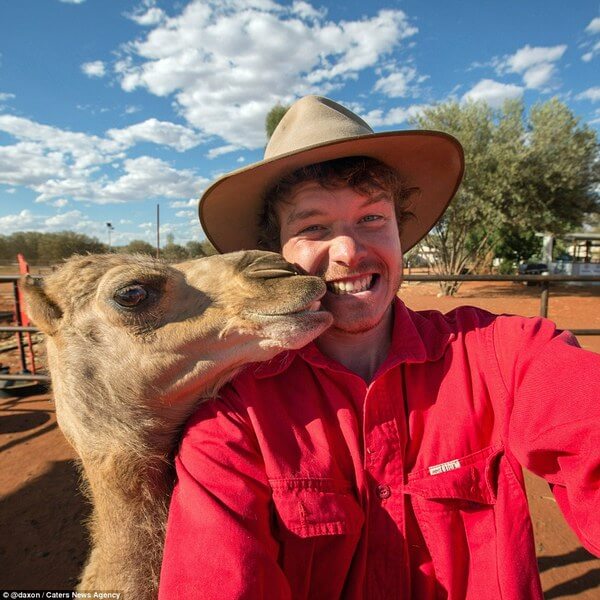 animals taking selfies 19