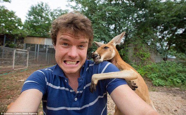 Selfies With Fantastic Animals 31