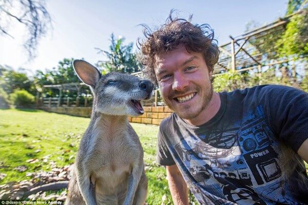 animals taking selfies 12