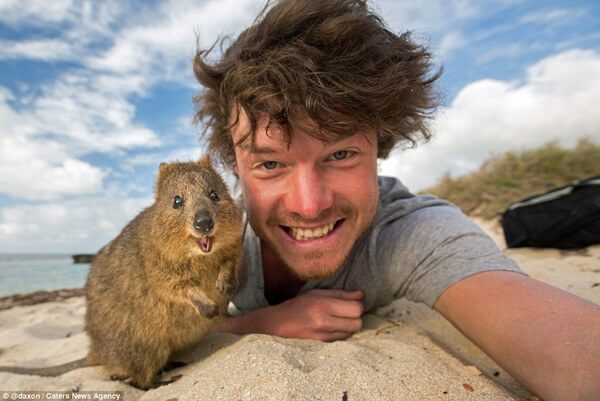 Selfies With Fantastic Animals 1