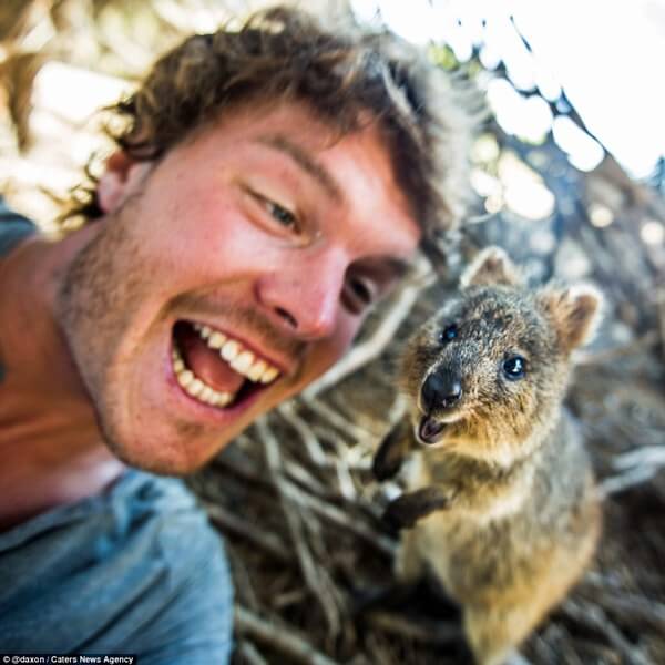 animals taking selfies 16