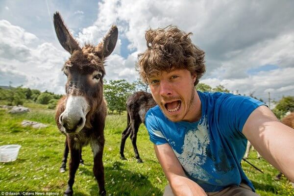 animals taking selfies 29