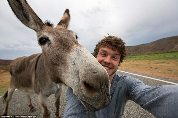 animals taking selfies 26