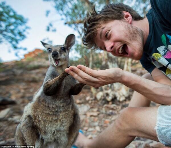 animals taking selfies 7