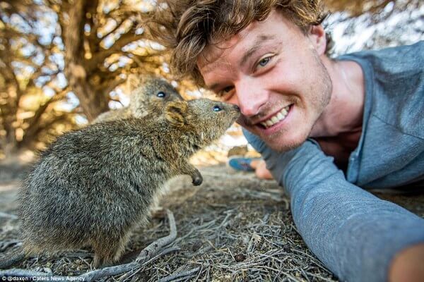 animals taking selfies 13