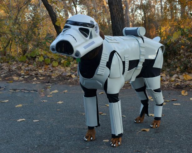 Stormtrooper dog