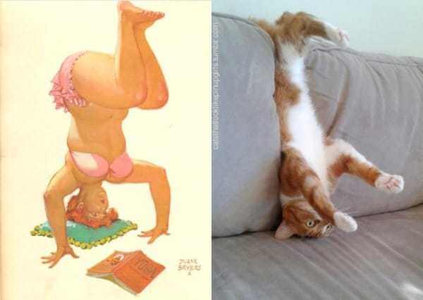 Cats that look like pin-up girls 4