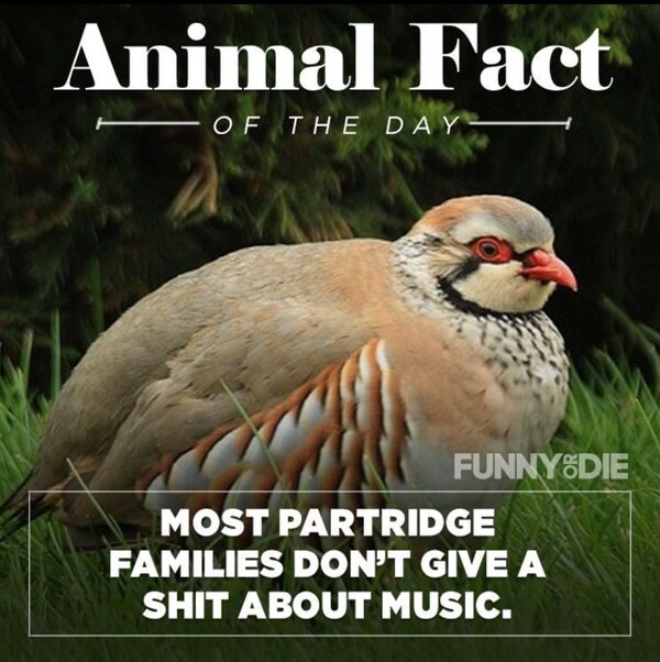 funny animal facts 10
