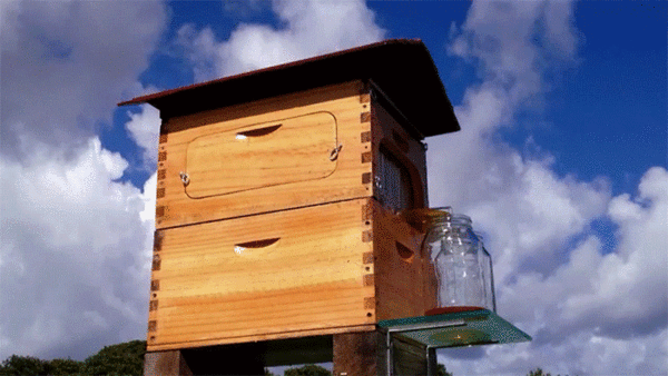 awesome beehive 2