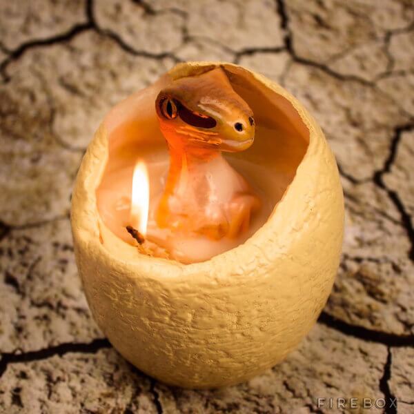 dinosaur candle 1