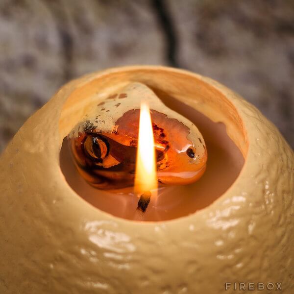 dinosaur candle 3