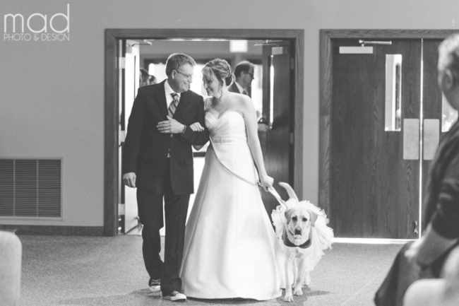 Bride And Her Service Dog 2