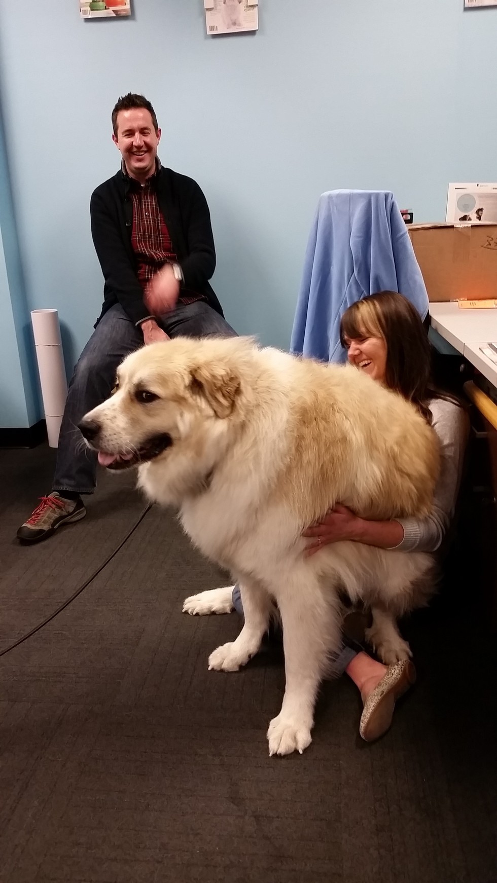 Enormous Dog 3