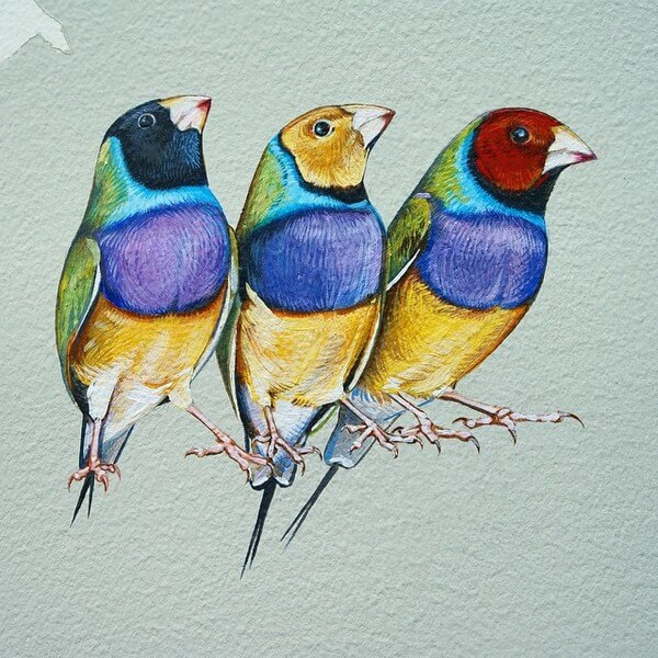 birds painting 14