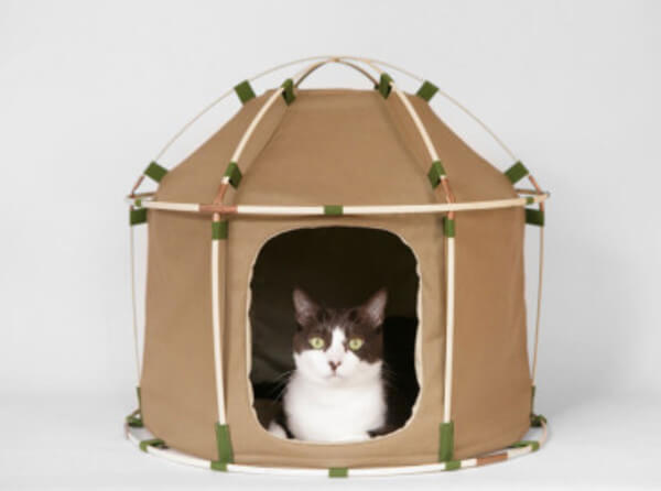 cat play tent