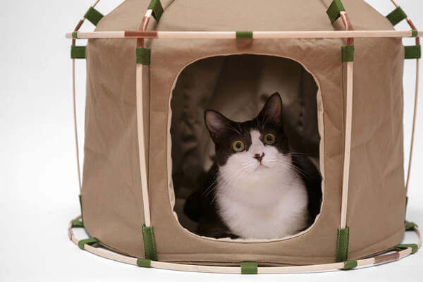 Indoor Cat Camping tent 1