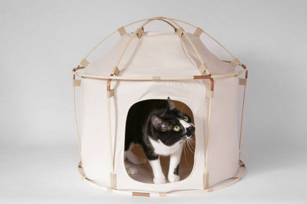 cat camping gear 4