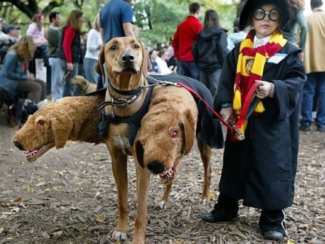 animal cosplay 11