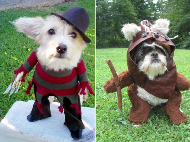 animal cosplay 6