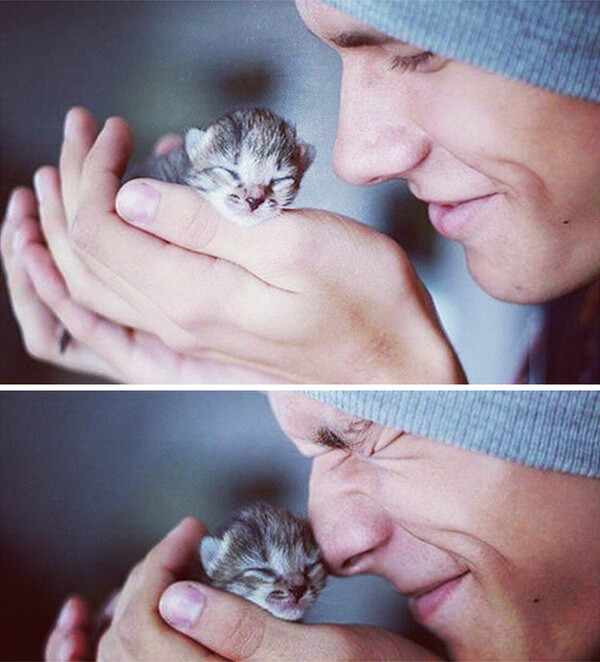 hot dudes with kittens 1