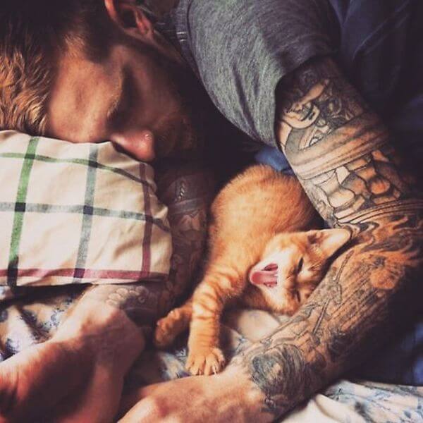 hot dudes with kittens 2