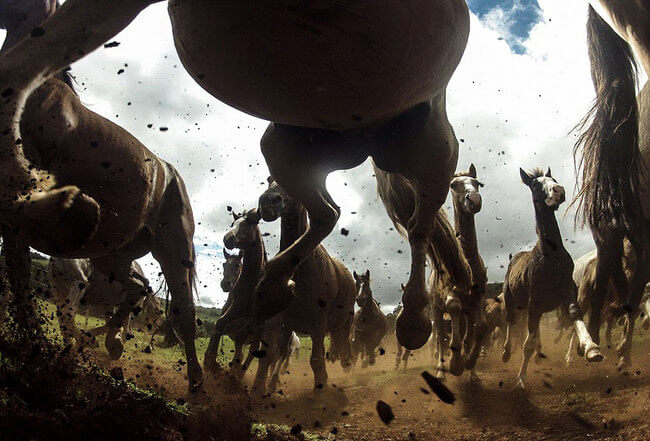 incredible pictures incredible pictures 1