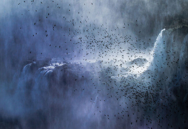 incredible picture incredible picture 15