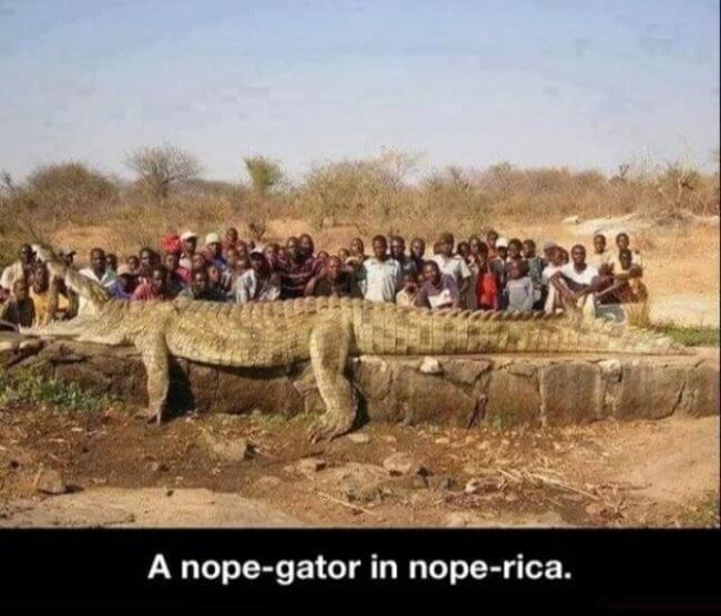 nopes nope nope nopes nope nope 8