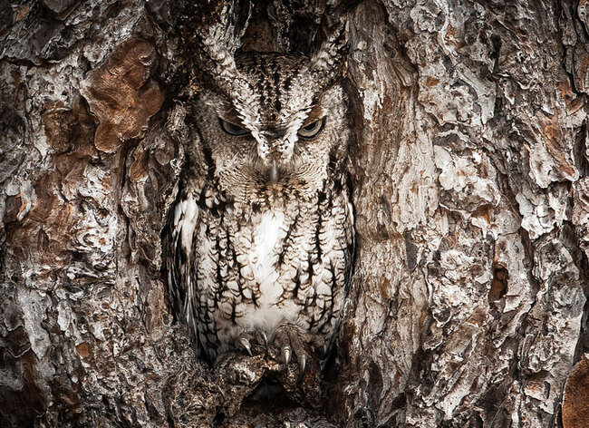 incredible picture incredible picture 3
