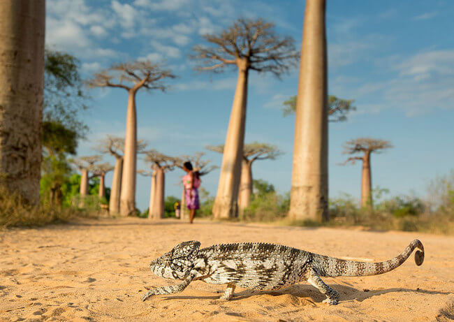 incredible pictures incredible pictures 8