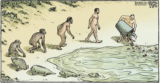 evolution cartoons 2