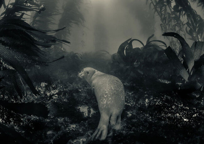incredible pictures incredible pictures 9