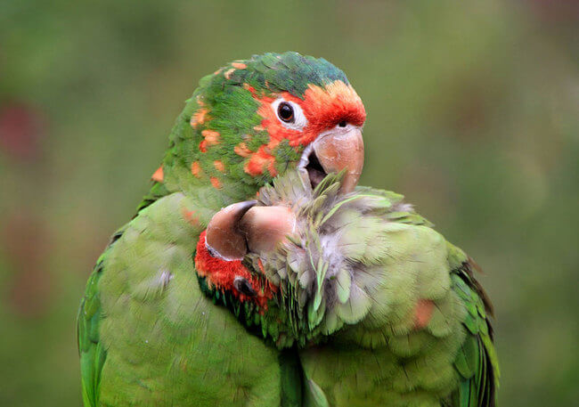 incredible picture incredible picture 6