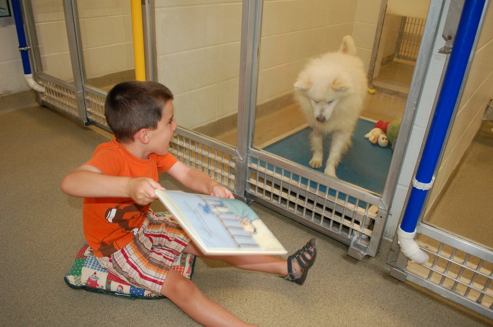 kids reading to dogs 2