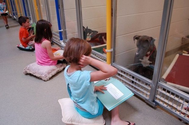 kids reading to dogs