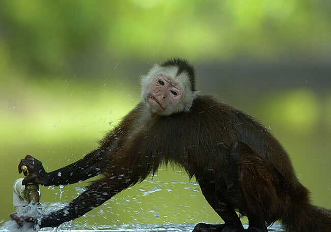 incredible pictures incredible pictures 10