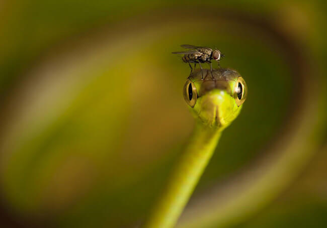 incredible pictures incredible pictures 2