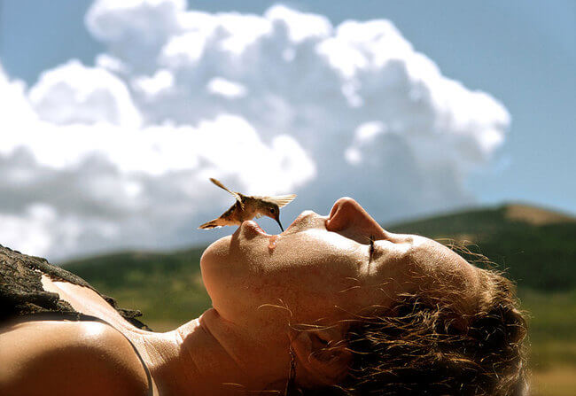 incredible picture incredible picture 4