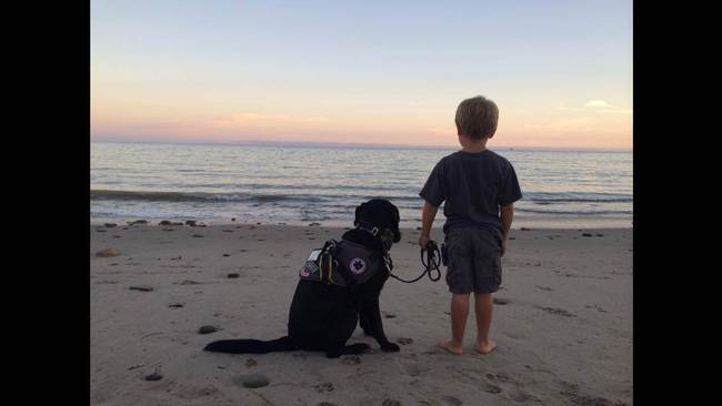 Jedi the dog saves the life of 7-year-old boy 3
